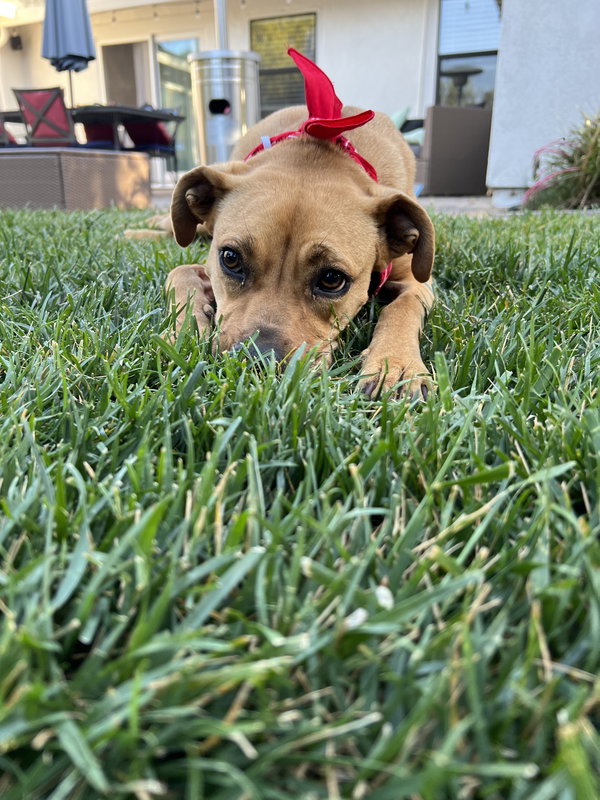 Rita