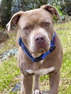 Tank - Photo 2