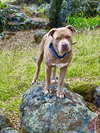 Tank - Photo 3