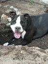 Dany - Photo 4