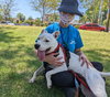 Daisy - Photo 3