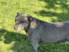 Storm - Photo 2
