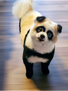 Mr. Marshmallow McFlurry D6023