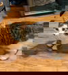 adoptable Cat in  named Chandler C4673