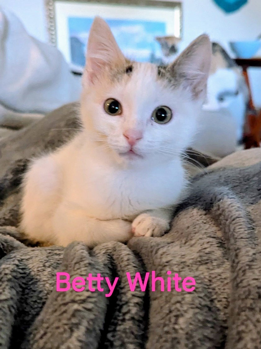 Betty White C4751