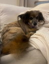 Hubbard - Photo 2