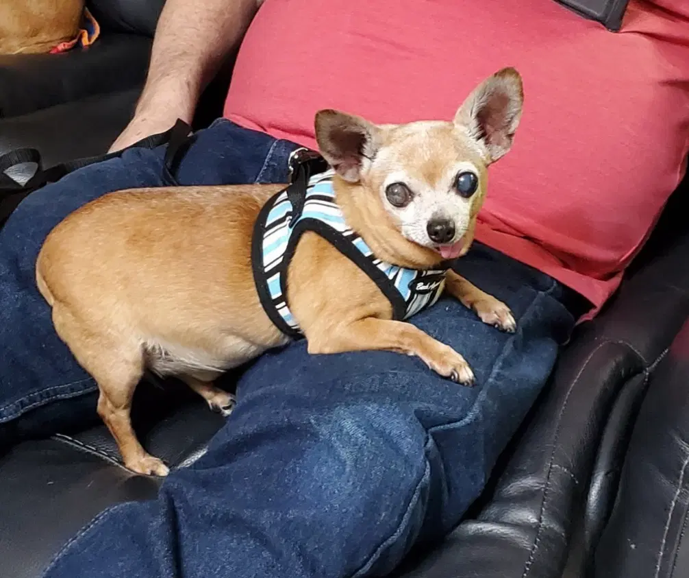 Coco image 2