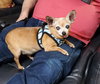 Coco - Photo 2