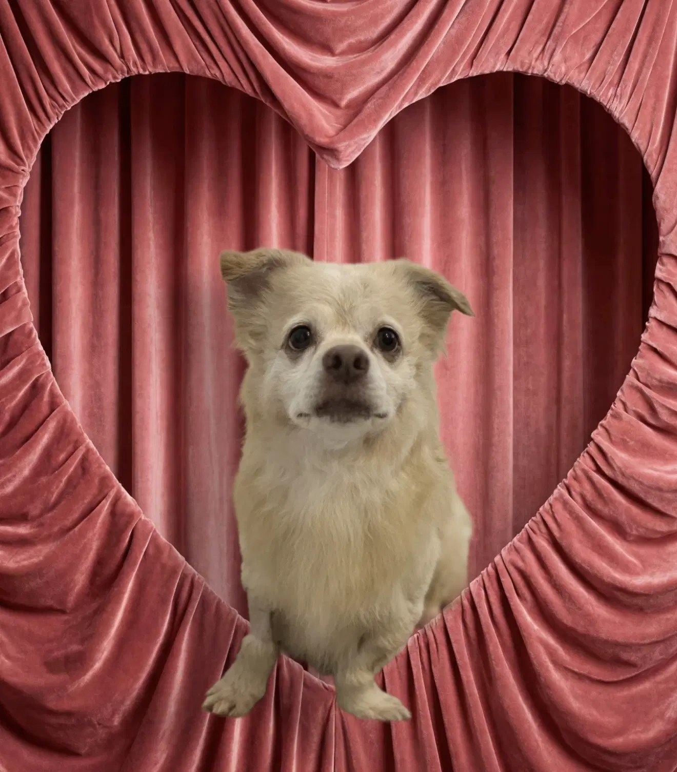 Lucky image 4