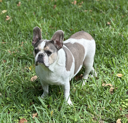 Skyler photo 4
