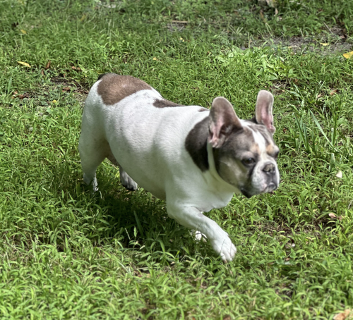 Skyler photo 6