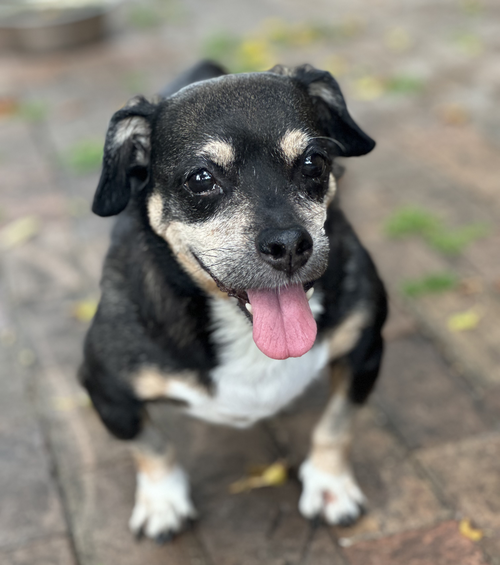 Wally photo 3
