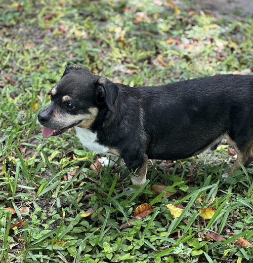 Wally photo 4