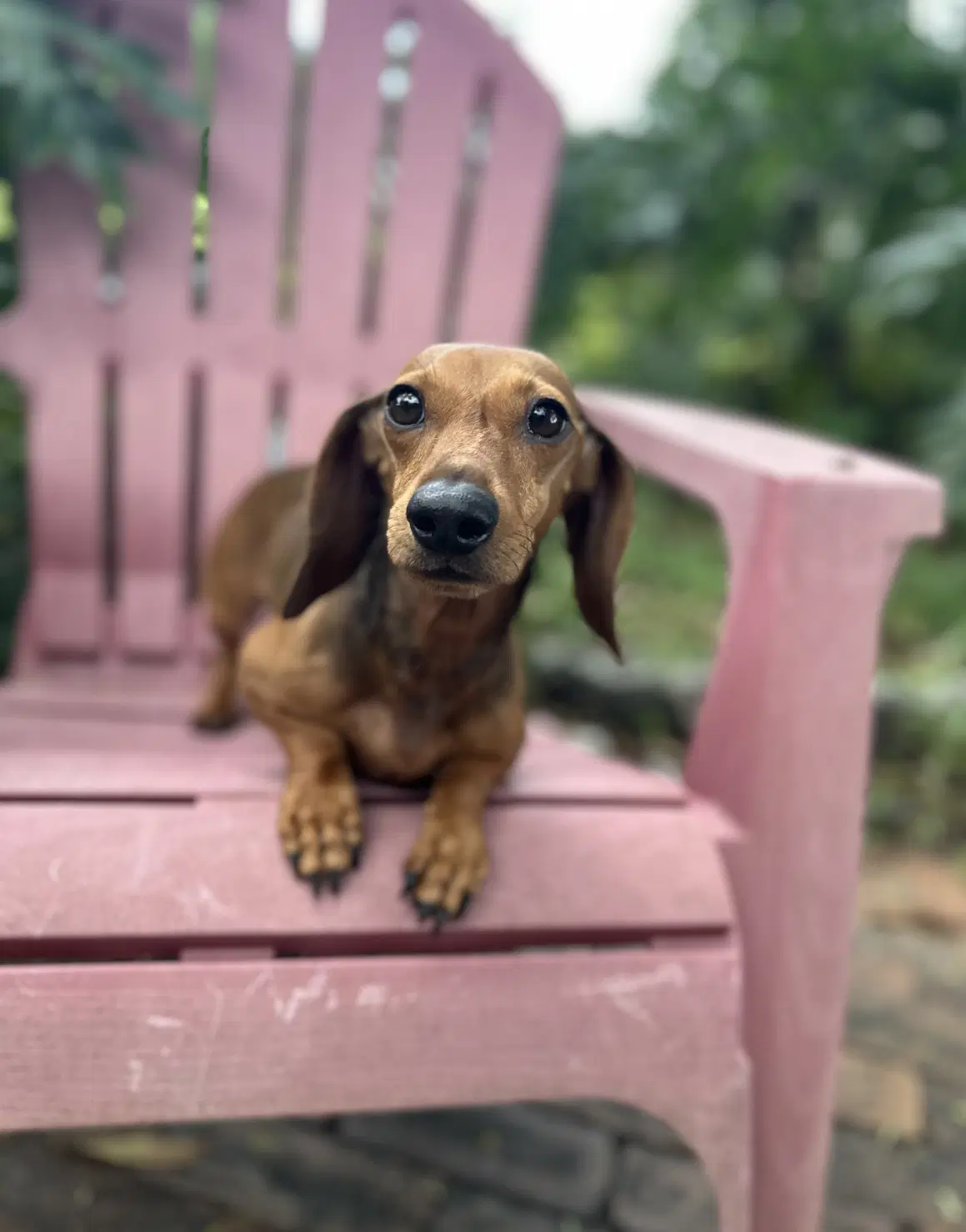 Emma image 2