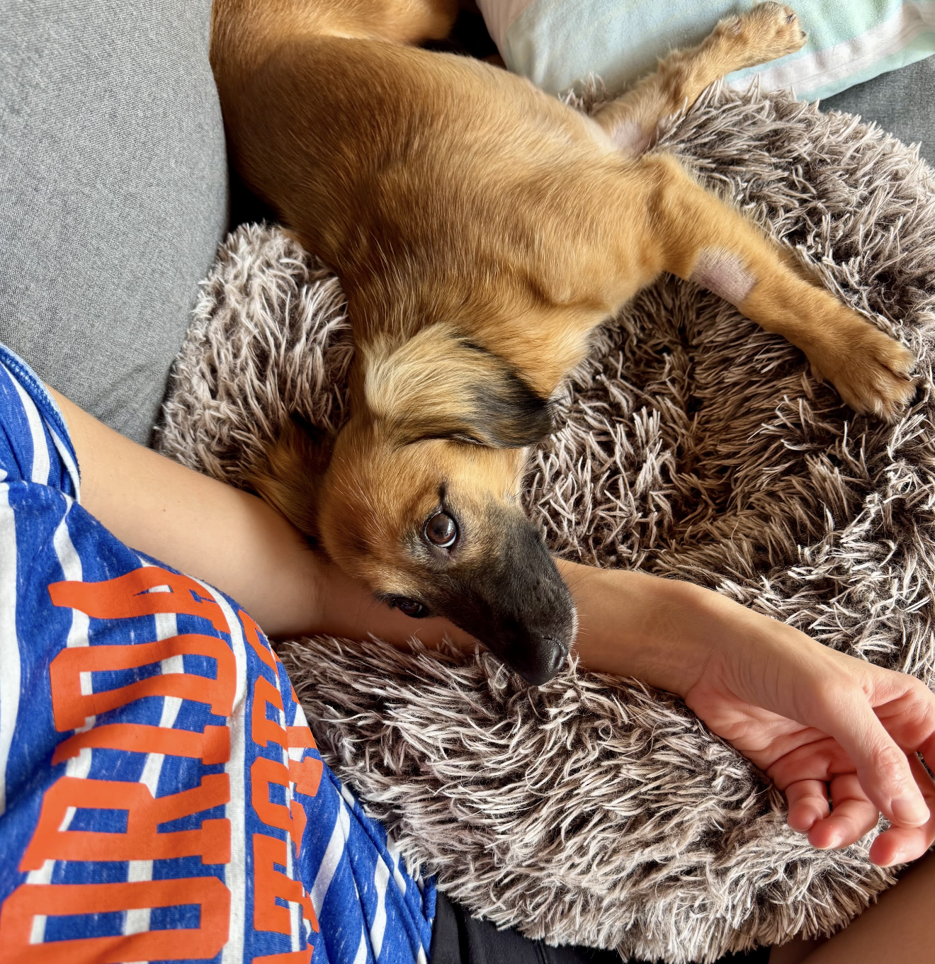 Klara, photo 10