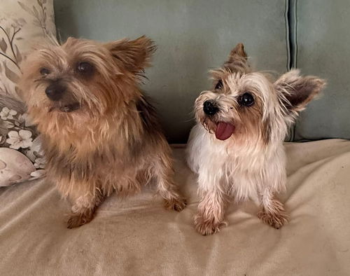 Destiny and Sophie