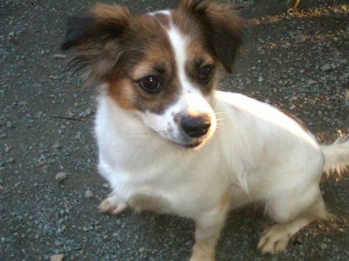 LuLu
