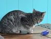 Frances - Photo 2