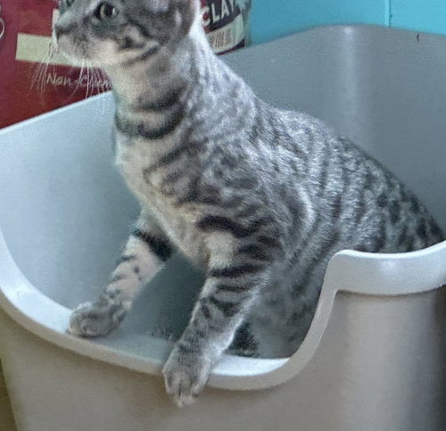Photo 3 of Frances