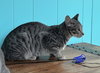Frances - Photo 4