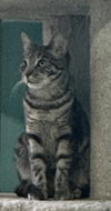 Frances - Photo 5
