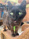 Precious - Photo 3