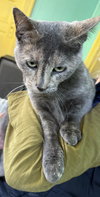 Michy - Photo 2