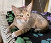 Ethel - Photo 4