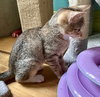 Ethel - Photo 3