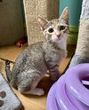 Ethel - Photo 5