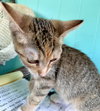 Ethel - Photo 6