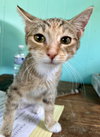 Ethel - Photo 7