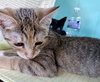 Ethel - Photo 2