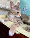 Ethel - Photo 9