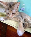 Ethel - Photo 10