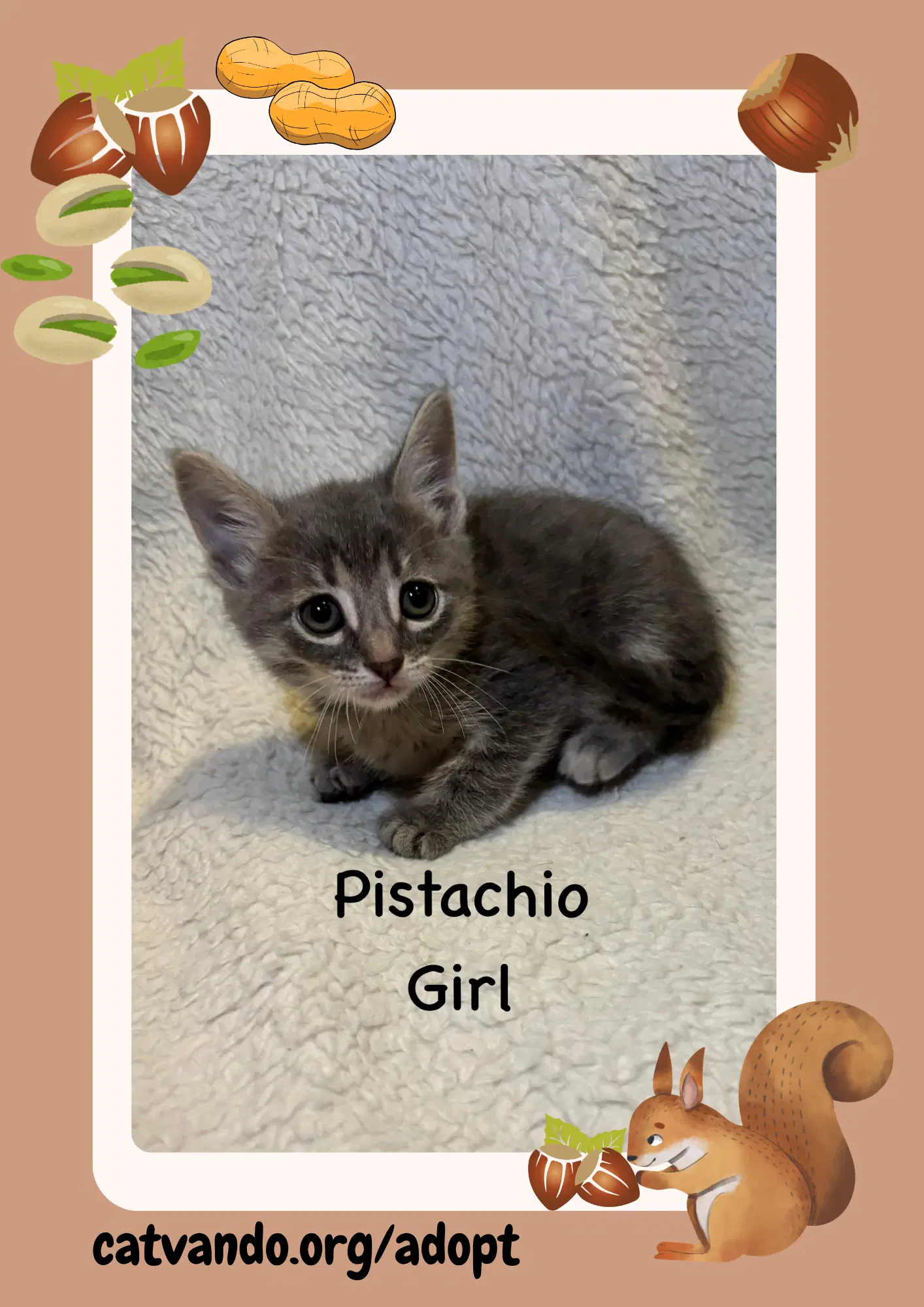 Pistachio image 3