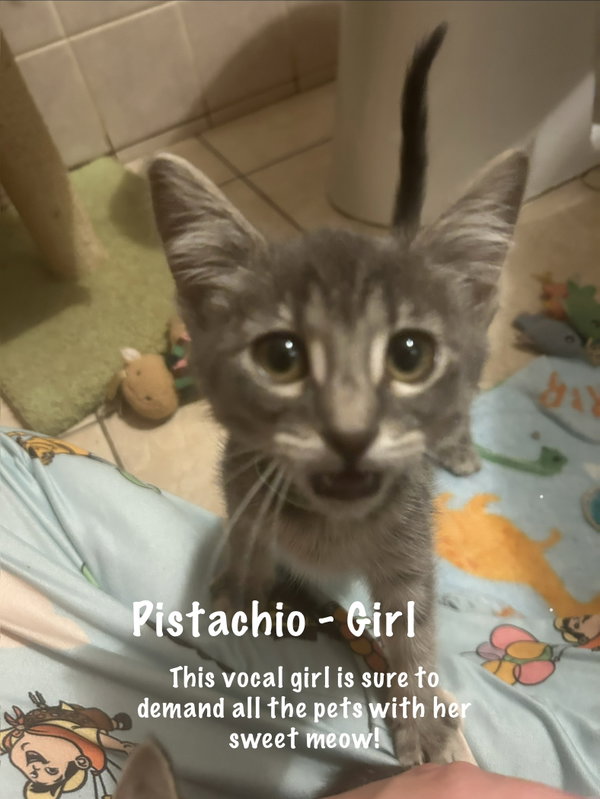 Pistachio