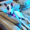 Lexie - Photo 3