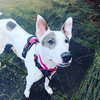 Lexie - Photo 5