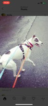 Lexie - Photo 7