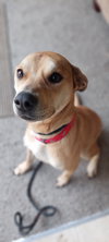 Roxy - Photo 4