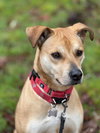 Roxy - Photo 3