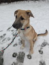 Fritz - Photo 7