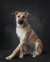Fritz - Photo 4