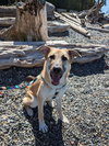 Fritz - Photo 6