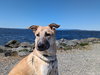 Fritz - Photo 5