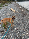 Josie - Photo 12