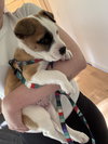 Crumble - Photo 5
