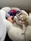 Crumble - Photo 6