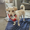 Cheddar - Photo 1